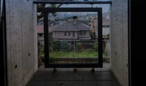 8月の双生観ブログ画像